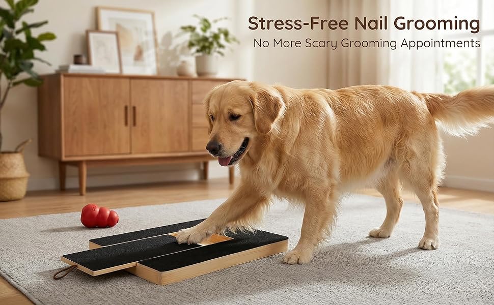 NovaPaw Scratch Box with Treat Section